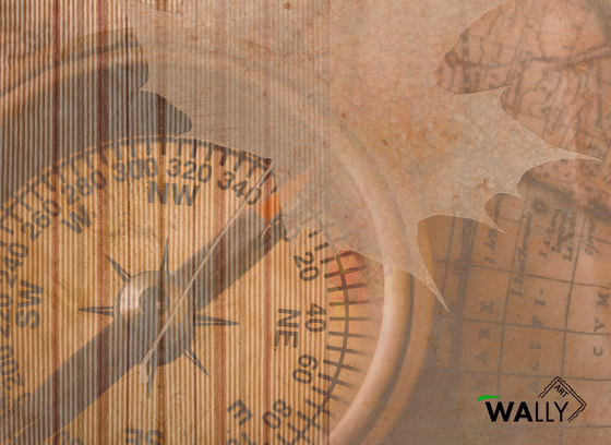 Compass | Wall coverings / wallpapers | WallyArt