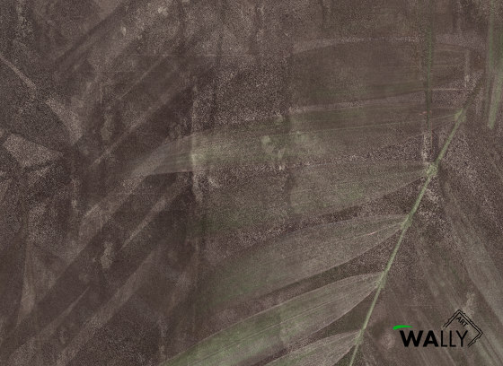 Kentia | Wall coverings / wallpapers | WallyArt