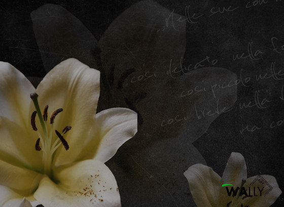 Lily | Wall coverings / wallpapers | WallyArt