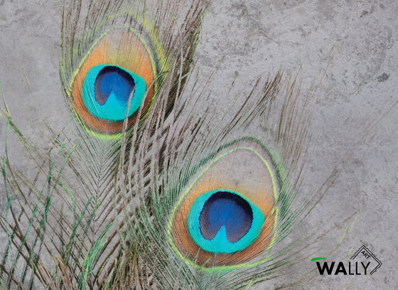 Peacock | Wandbeläge / Tapeten | WallyArt