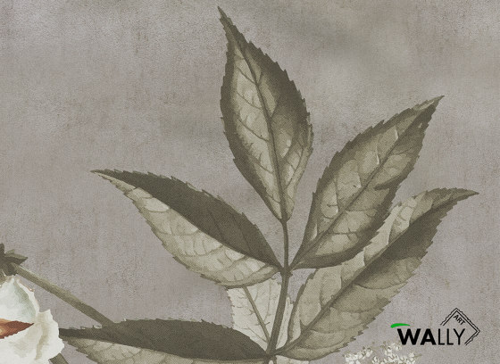 Primula | Wall coverings / wallpapers | WallyArt