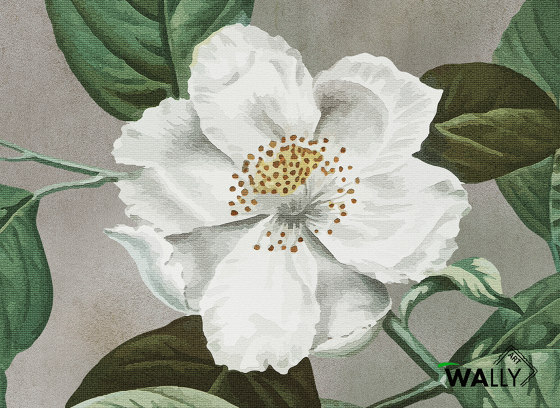 Primula | Revestimientos de paredes / papeles pintados | WallyArt
