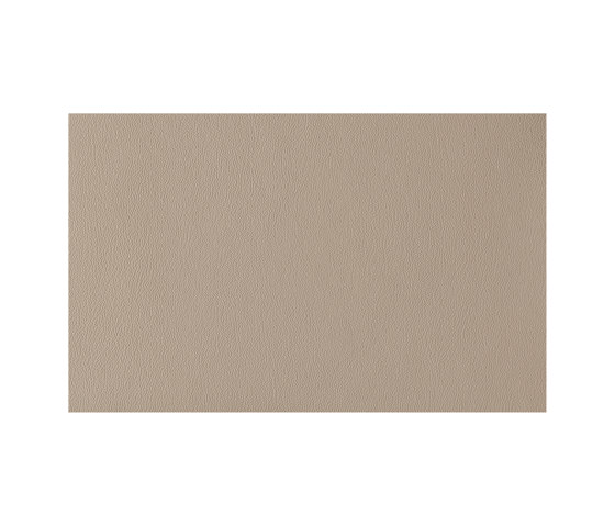 Ambience | Light Taupe | Faux leather | Morbern Europe