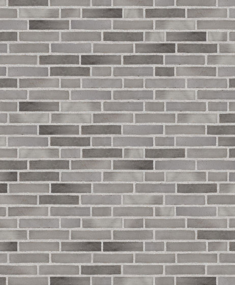 Innova | RT 603 Grey rustic | Briques céramique | Randers Tegl