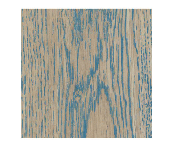 Indian Oak Petrol | Wood panels | Pfleiderer