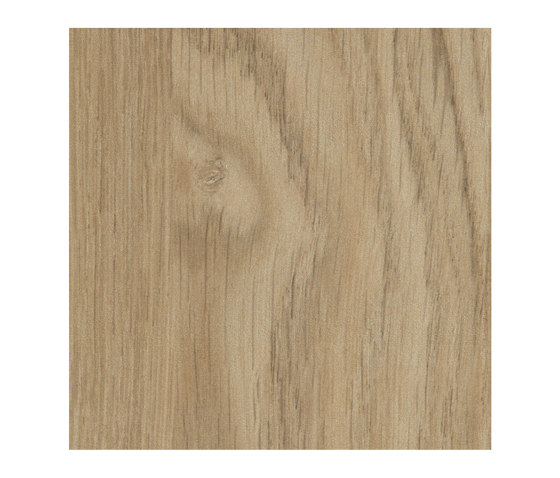 Oiled Oak | Wood panels | Pfleiderer
