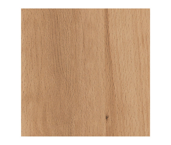 Beech Crenata | Wood panels | Pfleiderer
