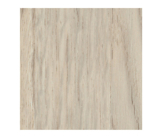 Patula Cream | Planchas de madera | Pfleiderer
