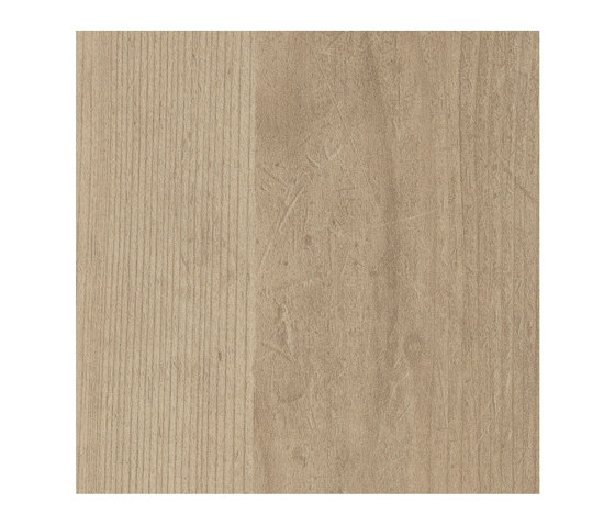 Sand Pine | Holz Platten | Pfleiderer