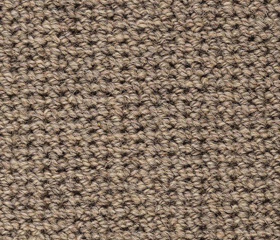 Belfast-AB 139 | Rugs | Best Wool