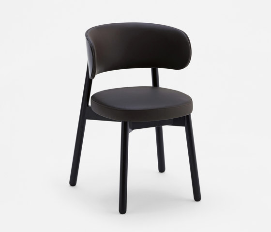 COCO Armchair 2.05.0 | Chairs | Cantarutti