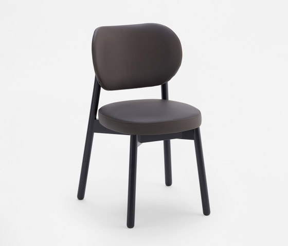 COCO Chair 1.03.0 | Chaises | Cantarutti