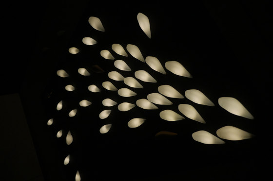 Wall of Light | Birdie | Lampade parete | BEAU&BIEN