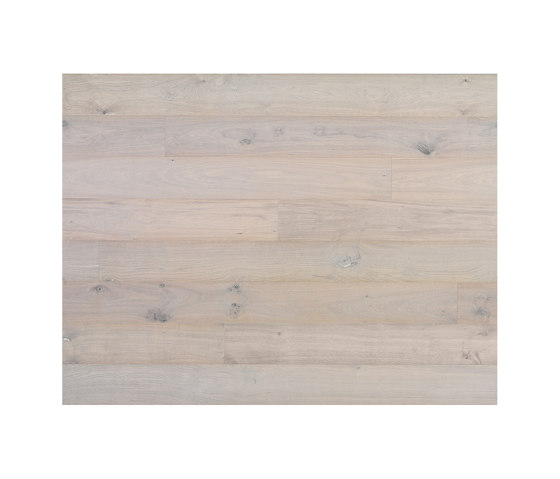 Cured Wood Hard wax Oil | Torekov, Oak | Planchers bois | Bjelin