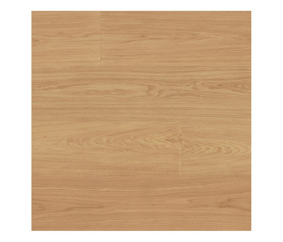 Cured Wood Hard wax Oil | Borlunda, Oak | Wood flooring | Bjelin