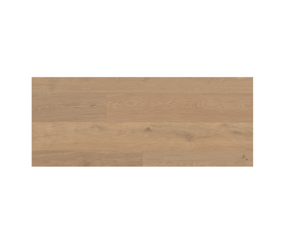 Cured Wood Matt Lacquer | Hasslarp, Oak | Planchers bois | Bjelin