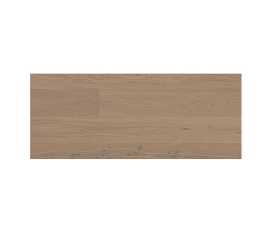 Cured Wood Matt Lacquer | Stehag, Oak | Pavimenti legno | Bjelin