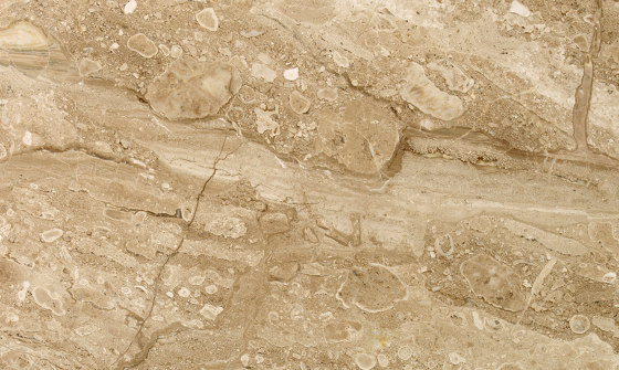Marbre Marron - Beige | Breccia Sarda | Panneaux en pierre naturelle | Mondo Marmo Design