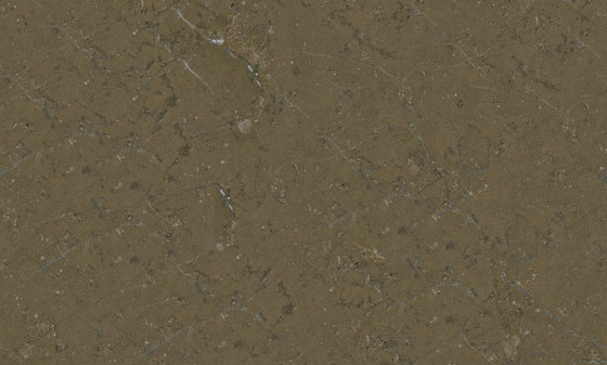 Grau Marmor | Grigio Antracite | Naturstein Platten | Mondo Marmo Design