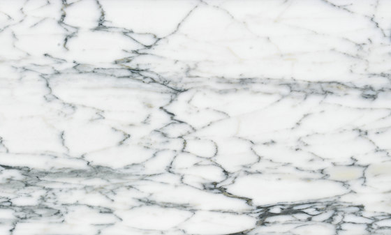 Weiß Marmor | Arabescato Carrara | Naturstein Platten | Mondo Marmo Design