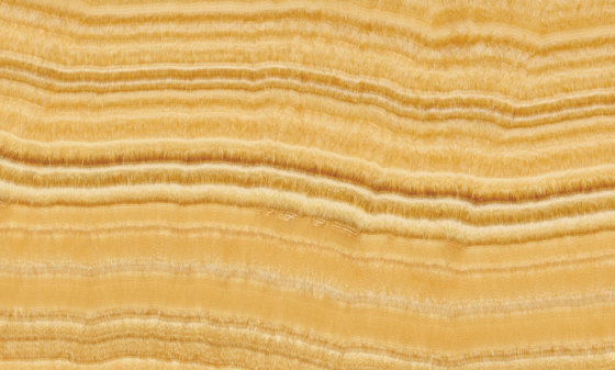 Gelb Marmor | Alabastro | Naturstein Platten | Mondo Marmo Design