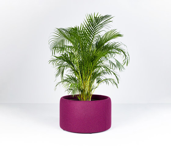 BuzziPlanter | Vasi piante | BuzziSpace