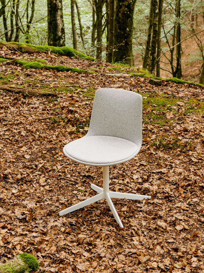 Lottus confident chair | Chairs | ENEA