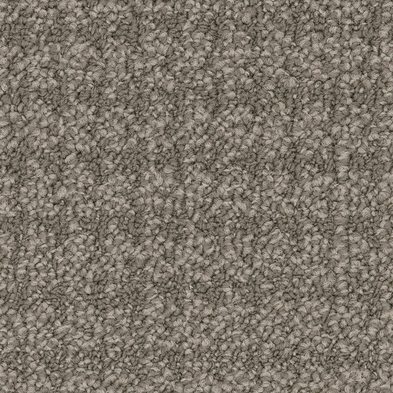 Carpet - Check | Broadcloth | Teppichfliesen | Amtico