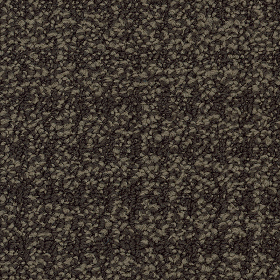 Carpet - Check | Cloque | Carpet tiles | Amtico
