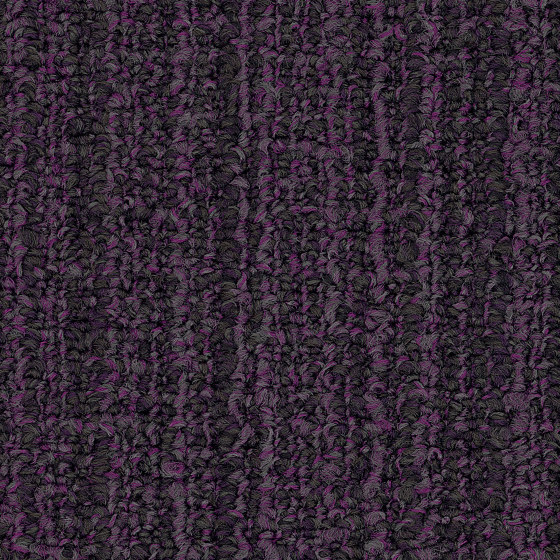 Carpet - Capital | Network Amethyst | Carpet tiles | Amtico