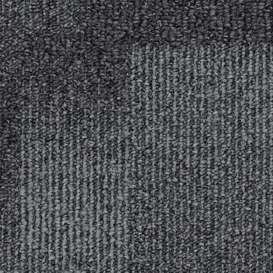 Carpet - Capital | Skyrise Graphite | Carpet tiles | Amtico