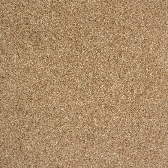 Carpet Bridge - Acoustic Option | Nutmeg | Carpet tiles | Amtico