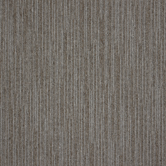 Carpet Drift - Acoustic Option | Truffle Stripe | Teppichfliesen | Amtico
