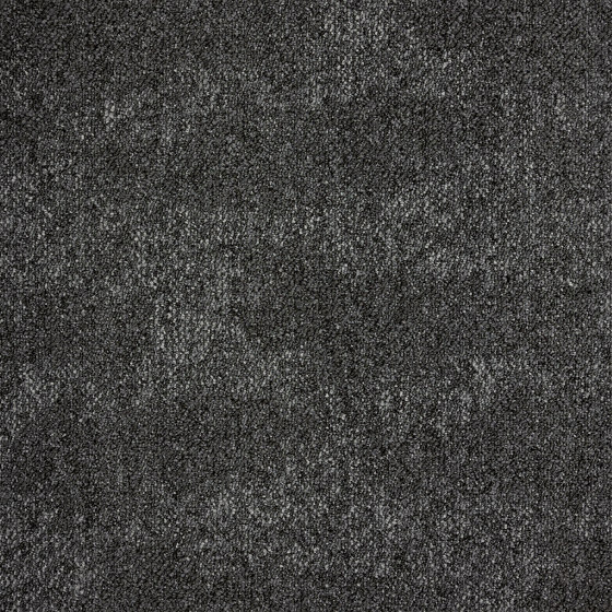 Carpet Drift - Acoustic Option | Pewter | Carpet tiles | Amtico