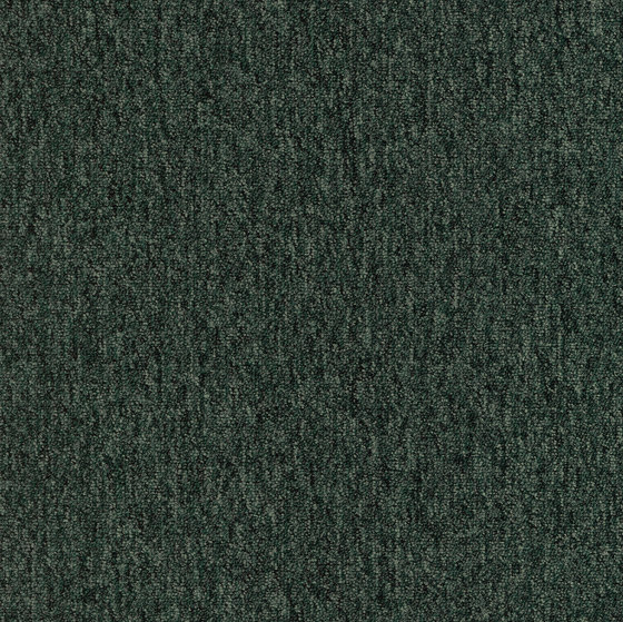 Carpet Foundry - Acoustic Option | Forest | Carpet tiles | Amtico