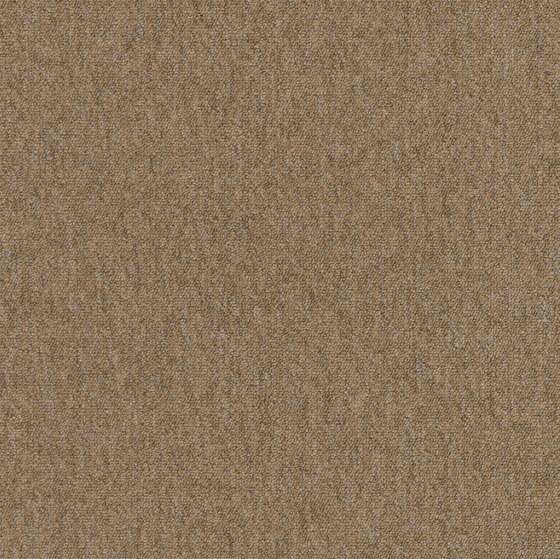 Carpet Foundry - Acoustic Option | Shore | Carpet tiles | Amtico