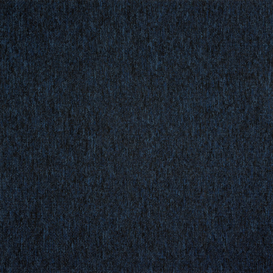 Carpet Realm - Acoustic Option | Navy | Carpet tiles | Amtico