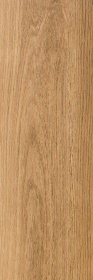 Cirro Woods - PVC-free | Dorset Oak | Kunststoff Platten | Amtico