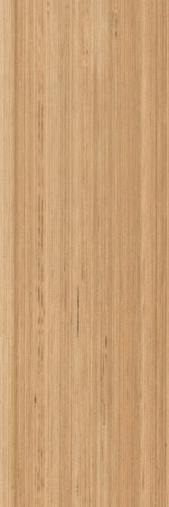 Cirro Woods - PVC-free | Fused Birch | Synthetic panels | Amtico