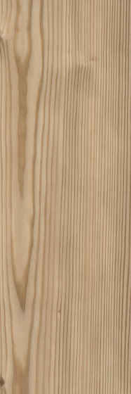 Cirro Woods - PVC-free | Oiled Pine | Plaques en matières plastiques | Amtico