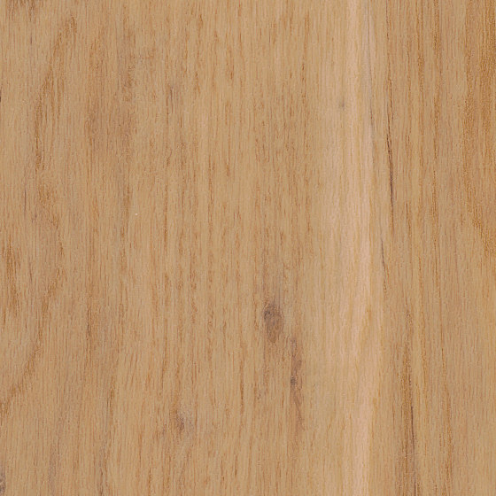 Spacia Woods - 0,55 mm | Canopy Oak | Lastre plastica | Amtico
