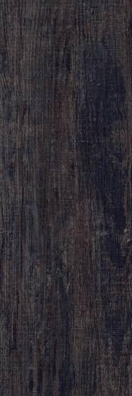 Spacia Woods - 0,55 mm | Cellar Oak | Synthetic panels | Amtico