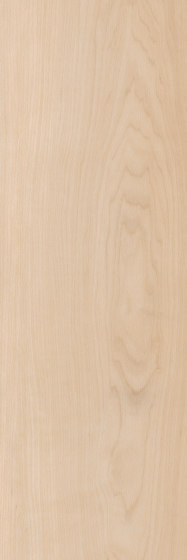 Spacia Woods - 0,55 mm | Pale Maple | Kunststoff Platten | Amtico