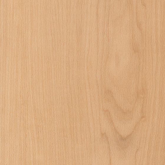 Spacia Woods - 0,55 mm | Warm Maple | Synthetic panels | Amtico