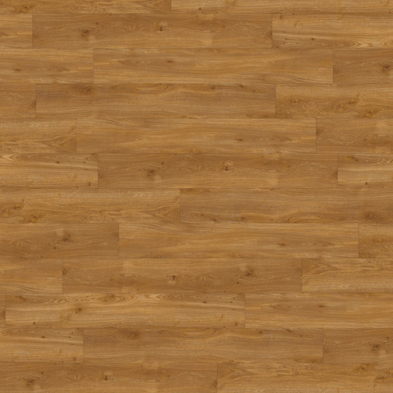 Spacia Woods - 0,55 mm | Traditional Oak | Synthetic panels | Amtico