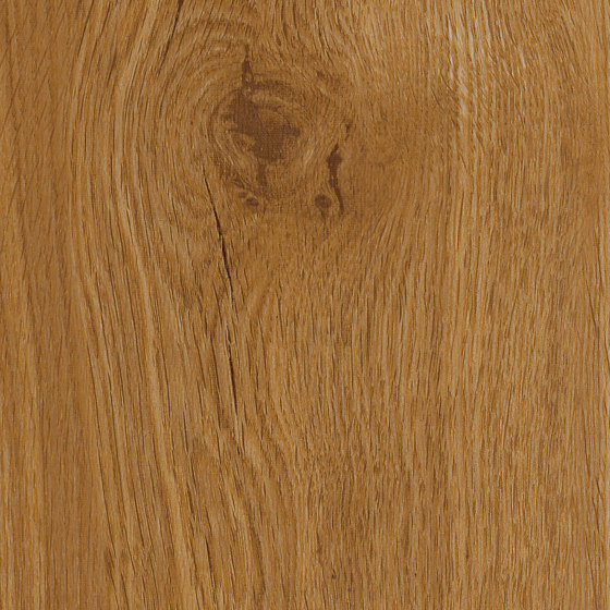 Spacia Woods - 0,55 mm | Traditional Oak | Synthetic panels | Amtico