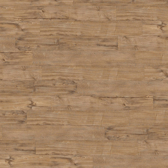 Spacia Woods - 0,55 mm | Featured Oak | Synthetic panels | Amtico
