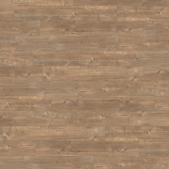 Spacia Woods - 0,55 mm | Dry Cedar | Synthetic panels | Amtico