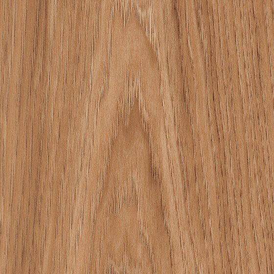 Spacia Woods - 0,55 mm | Smoothbark Hickory | Synthetic panels | Amtico