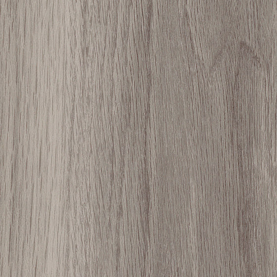 Spacia Woods - 0,55 mm | Nordic Oak | Synthetic panels | Amtico